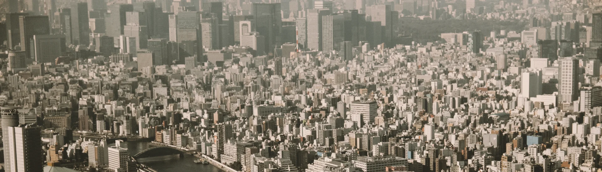 Aerial view of Tokyo in sepia tones — Two Leaves course, business ethics and labor
