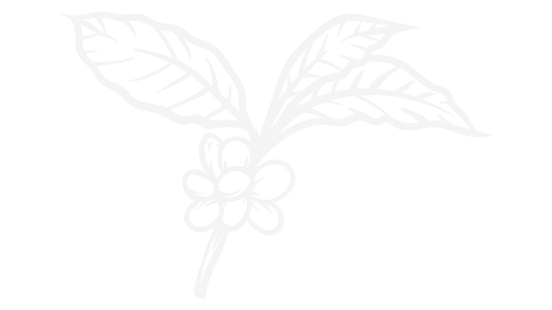The Ranking Method – green coffee evaluation