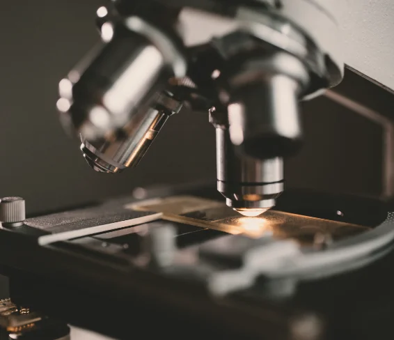 Microscope lens close-up — Compound course, food chemistry and physics